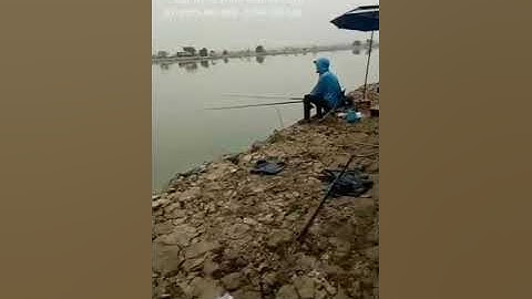 Nện chép giòn bằng Thính thuốc bắc SUNKISS X30