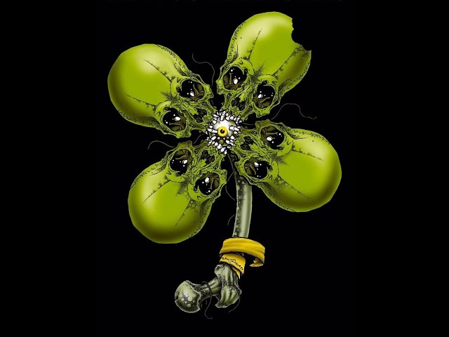 Metallica & The San Francisco Symphony - No Leaf Clover