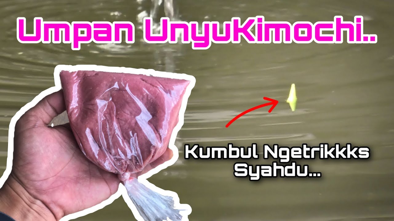 Kumbul Ngetrik Terus Pakai Umpan Unyu Kimochi | Racikan Umpan Ikan Mas