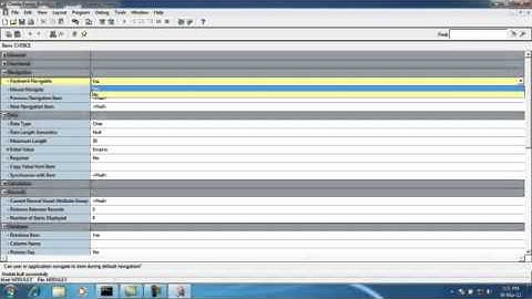 Oracle forms developing - 13