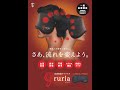 gruria(グルリア)～たった15分の血流促進アイマスク～