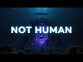 They Found Where It Came From… But It Wasn’t Earth