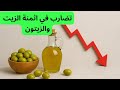 انخفاض صادم في أسعار الزيتون وزيت الزيتون.. السبب الحقيقي وراء تراجع الأثمنة هذا الموسم!