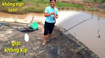 Câu Cá Chạch Suối Mùa Mưa Bão - hậu lâm