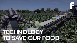 New Technology Is Tackling Food Waste