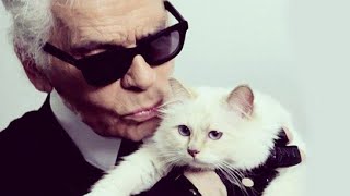 10 ШОКИРУЮЩИХ ОТНОШЕНИЙ ЧЕЛОВЕКА И ЖИВОТНОГО 10 ШОКИРУЮЩИХ ОТНОШЕНИЙ ЧЕЛОВЕКА И ЖИВОТНОГО
