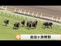 【2023】由比ヶ浜特別 東京競馬場10R ｜ウイニング競馬 2023年6月3日（土）