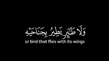 وما من دابة في الأرض ولا طائر يطير بجناحيه | كروما شاشة سوداء قرآن |سورة الأنعام |  ياسر الدوسري