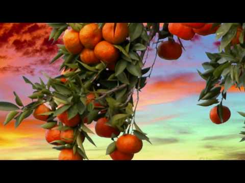 Lucy In The Sky With Diamonds (HD)
