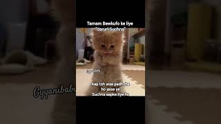 kyu padhe #tweetreels#lofichill#aesthetic#brokenheart#desihumor#cat#lofimusic #fyp#thoughts#memes