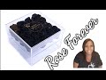 Review Rose Forever New York ~ Black Velvet Preserved Roses w/Acrylic Box ~ Roses That  Last 1 Year