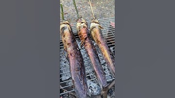 Cá trê nướng lai rai các bạn ơi