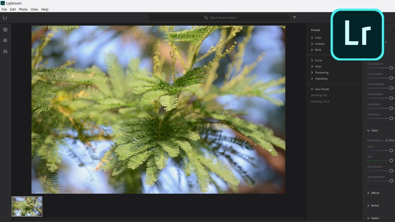 How To Import a Preset (.LRTemplate) Into Your Adobe Lightroom on a PC ...