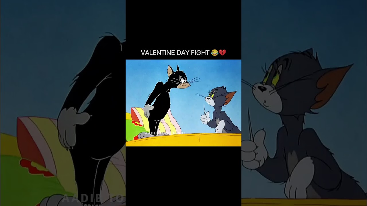 Valentine Day Fight Tom And Jerry 😂