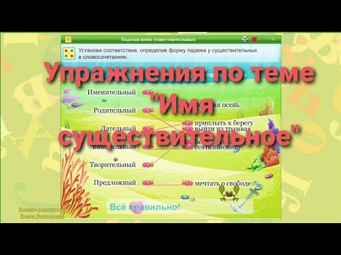 Упражнения по теме "Имя существительное". Проверочная работа