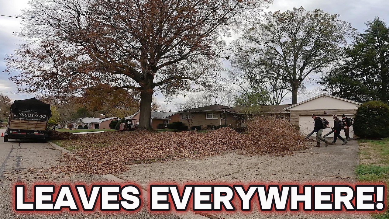 Fall Leaf Cleanup || Watch This Yard Go From Messy To Amazing! - YouTube