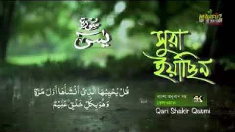 036 সূরা ইয়াসীন  Surah Ya Sin হৃদয় ছোঁয়া سورة يس‎ অনুবাদ qari Sakir Qasmi  mahfuz art of nature