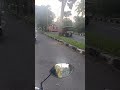 nama bus