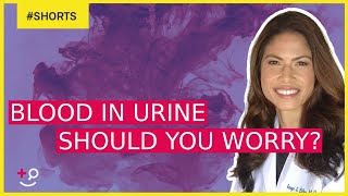 Blood in the Urine. Should you be concerned? 🩸