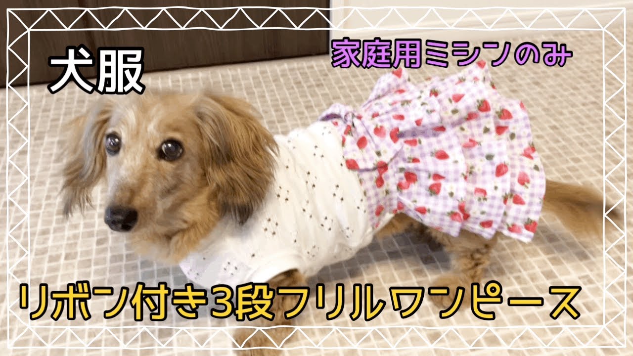 犬⭐︎服