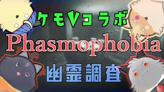 【コラボ・phasmophobia】今回も絶叫猫が生誕してしまうんでしょうか？ｗ