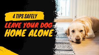 4 Tips for Safely Leaving Your Dog Home Alone | According To Experts | Dogs Genesis