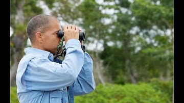 Christmas Bird Count