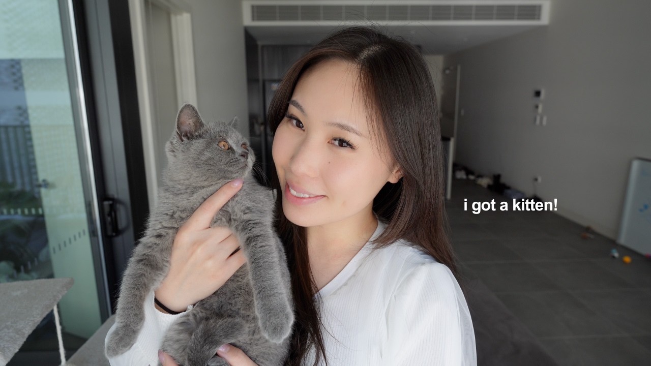 First WEEK with Our Kitten 𐔌՞. .՞𐦯 British Shorthair 🐈‍⬛