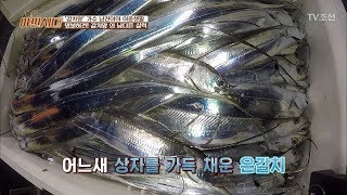 끊임없이 올라오는 갈치의 향연! 얼마나 잡았을까 [야인시대] 3회 20171121