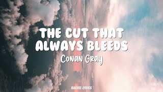 Conan Gray - The Cut That Always Bleeds