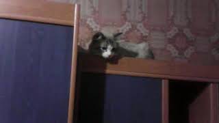 Уроки с Соней😏😏😏😏😏😏😏 Уроки с Соней😏😏😏😏😏😏😏