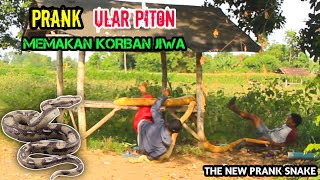 Video Lucu || Edisi Prank Paling Lucu || Ular Piton Bikin Emosi || Asli Bikin Ngakak 🤣🤣