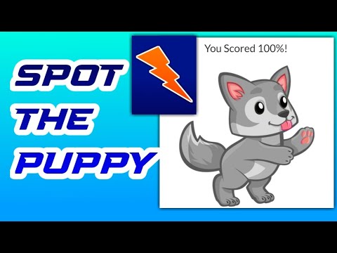 Spot the Puppy Quiz Answers Score 100% | Quiz Diva