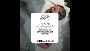 سوره انبیاء | آیه - 89,90 | اسلام صبحی | تلاوت قرآن کریم