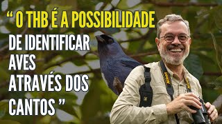 O caminho para identificar aves através dos cantos.