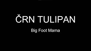 Miniatura de "ČRN TULIPAN - Big Foot Mama (lyrics)"