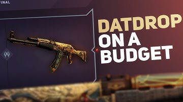 DatDrop on a BUDGET #2 (DATDROP CASE BATTLES)