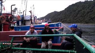 calipso 3 pesca de bacalao. Parte 1