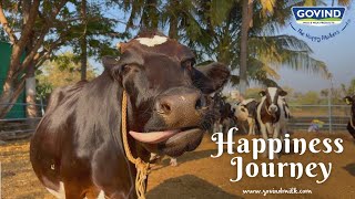 Happiness Trail | The Happy Makers | Govind Milk