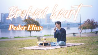 Peder Elias - Broken Heart / cover by DAEIL