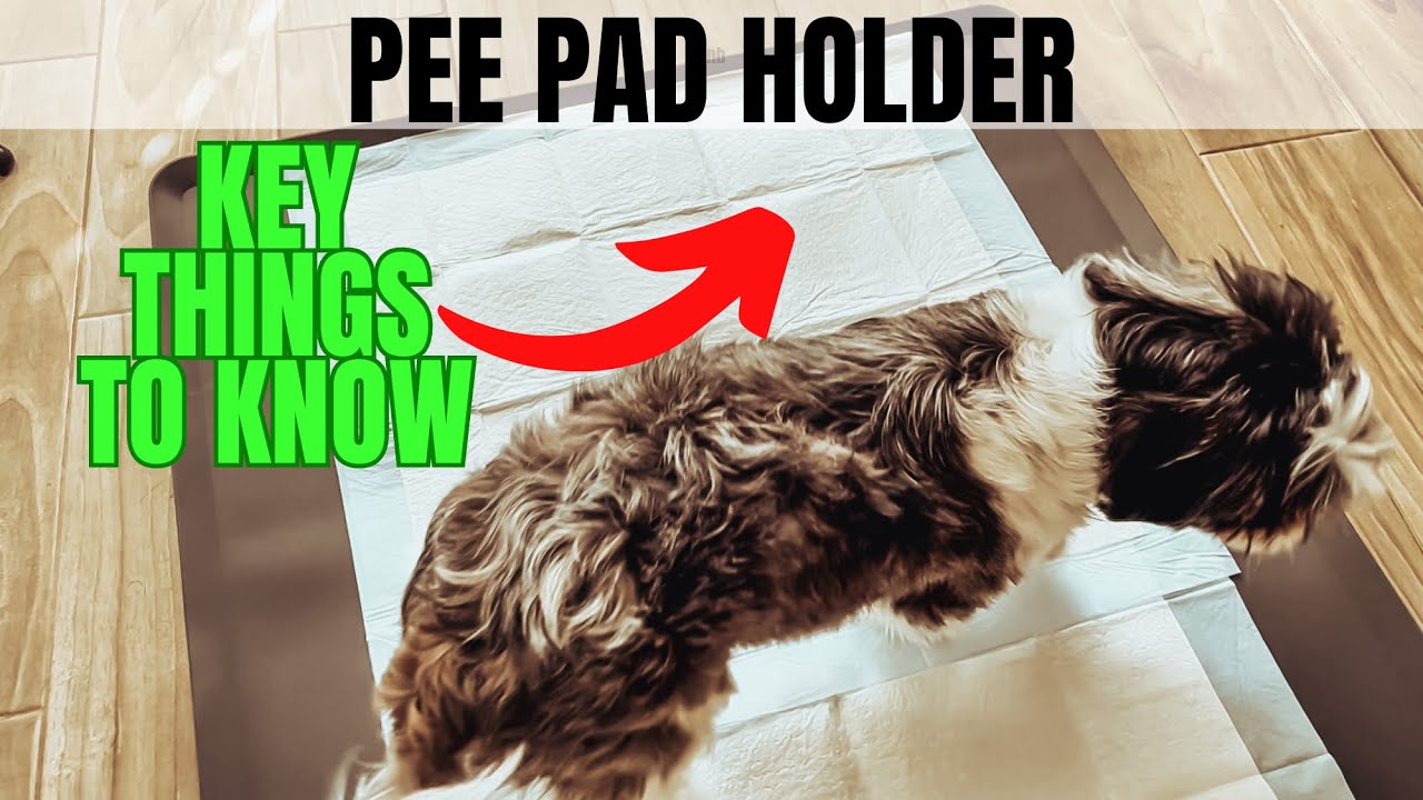 Why you need this Pee Pad Holder if you have dogs