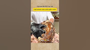 Tại Sao Bướu Lạc Đà Chỉ Dành Cho Giới Siêu Giàu #shorts