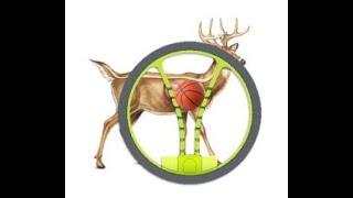 EZ V Bow Sight - How to Shoot Using Pin Sight Method
