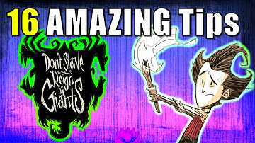 16 Tips to Help You Survive in Don