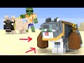 Monster School : HOMELESS CAT and DOG - Sad Story - Minecraft Animation