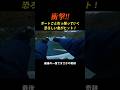 【衝撃】釣った魚にボートごと引きずられていく!