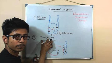 Chromosomal mutations | deletion mutation
