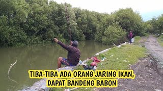 Spot Mancing Liar Ikan Bandeng dan Belanak | Kali Gisik Kalang Anyar Sidoarjo