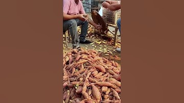 Alat cerdas sederhana untuk memotong ubi #shorts