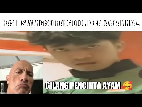 Gilang Pecinta Ayam..